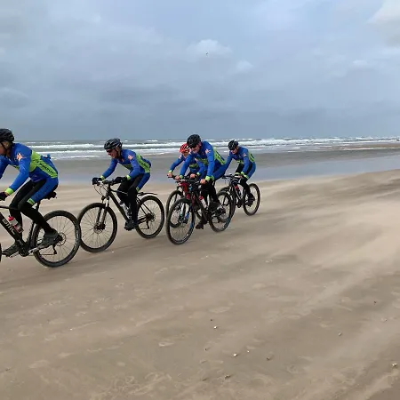 Pimpernel 1 Apartamento Bergen aan Zee